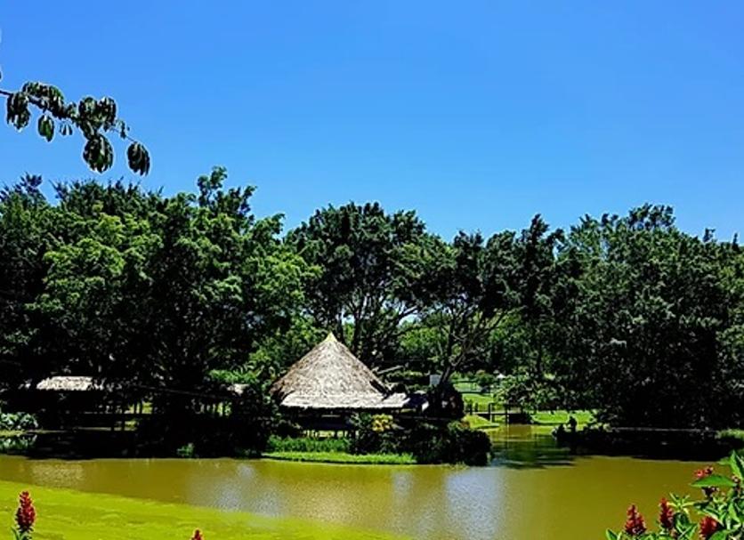 Vista del exterior Foto