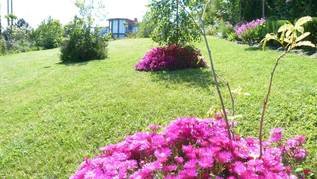 Vista del exterior