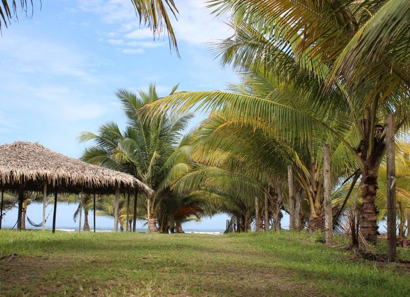 Vista del exterior Foto