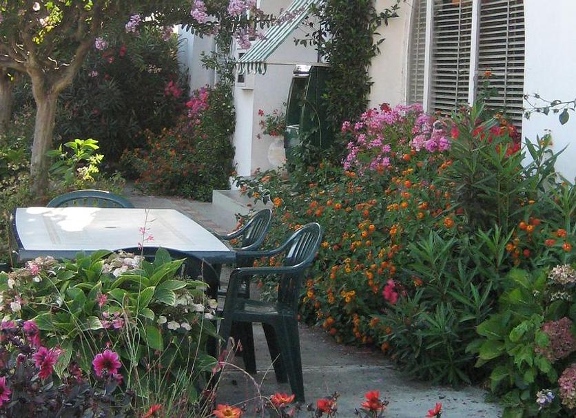 Patio Foto