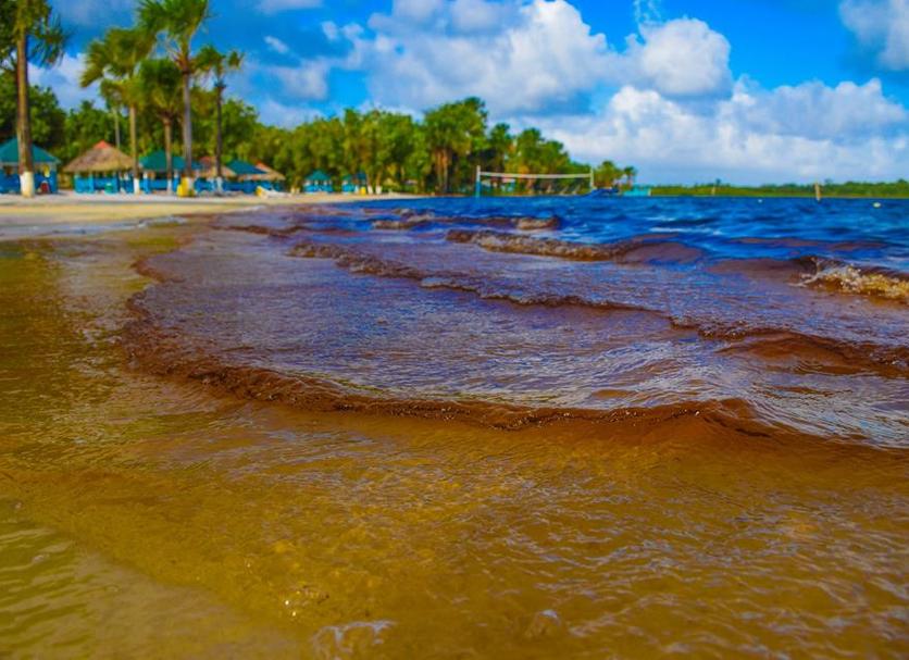 Playa Foto