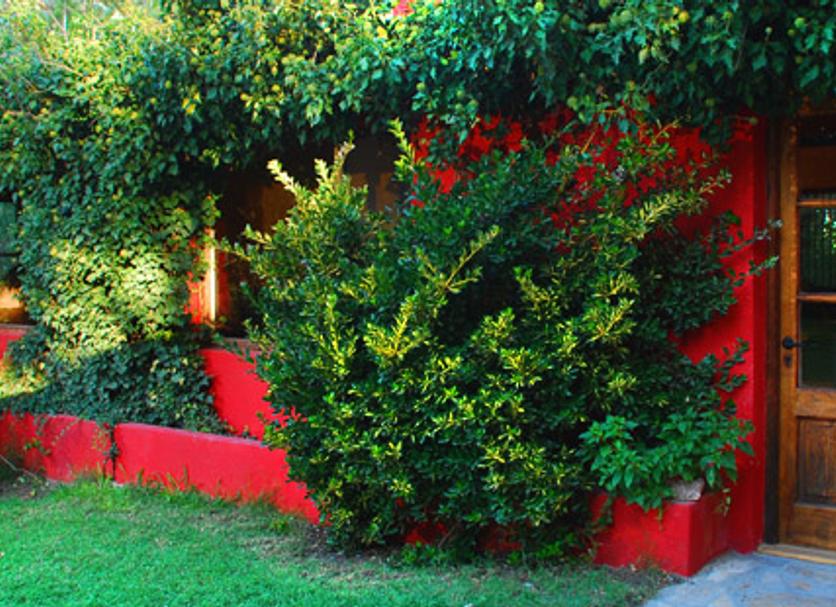 Vista del exterior Foto