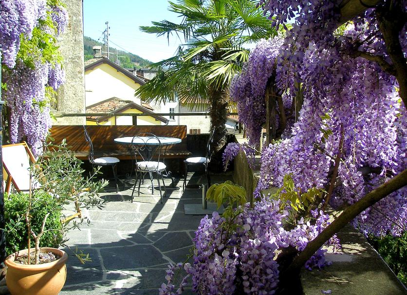Patio Foto