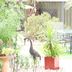 Vista del exterior