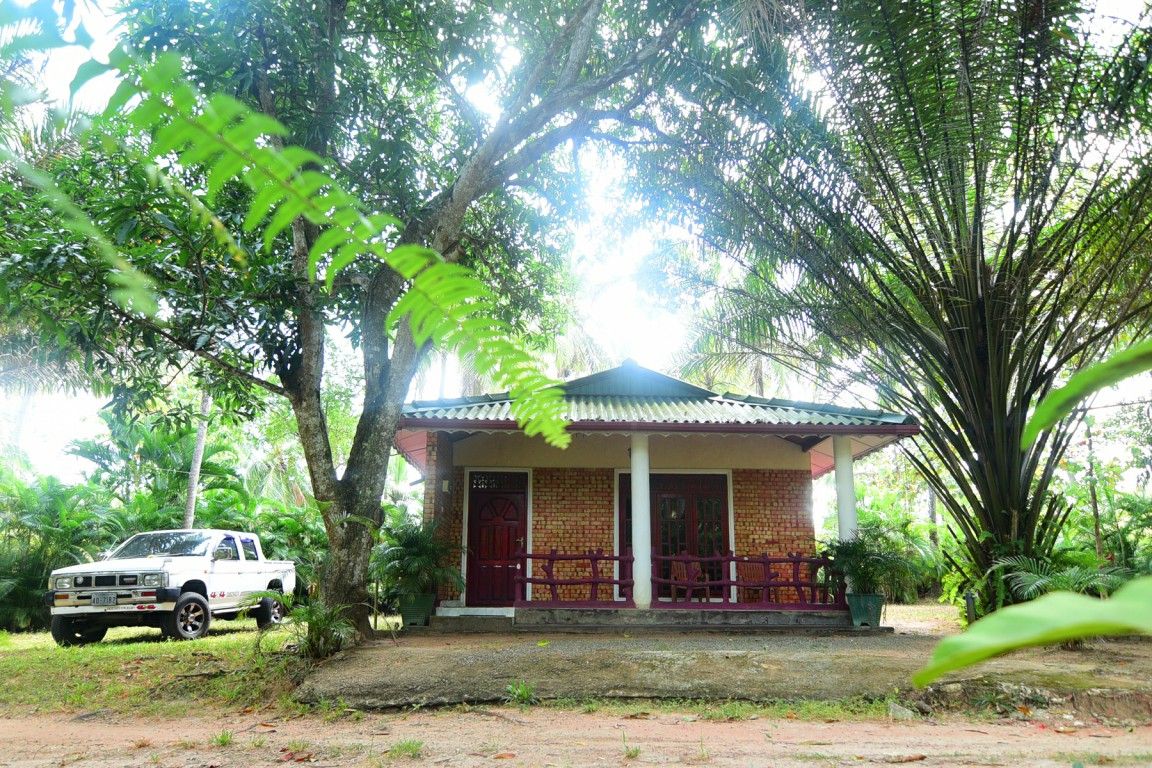 Vista del exterior