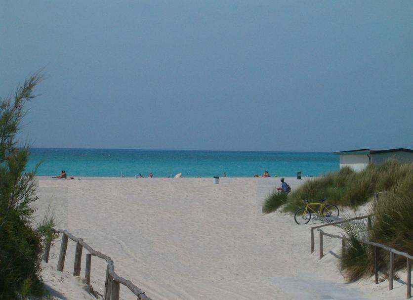 Playa Foto