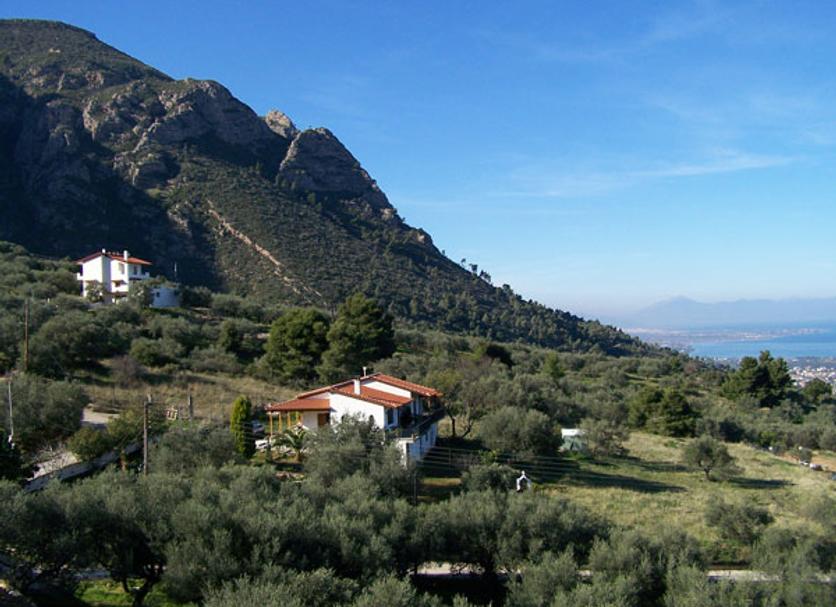 Vista del exterior Foto