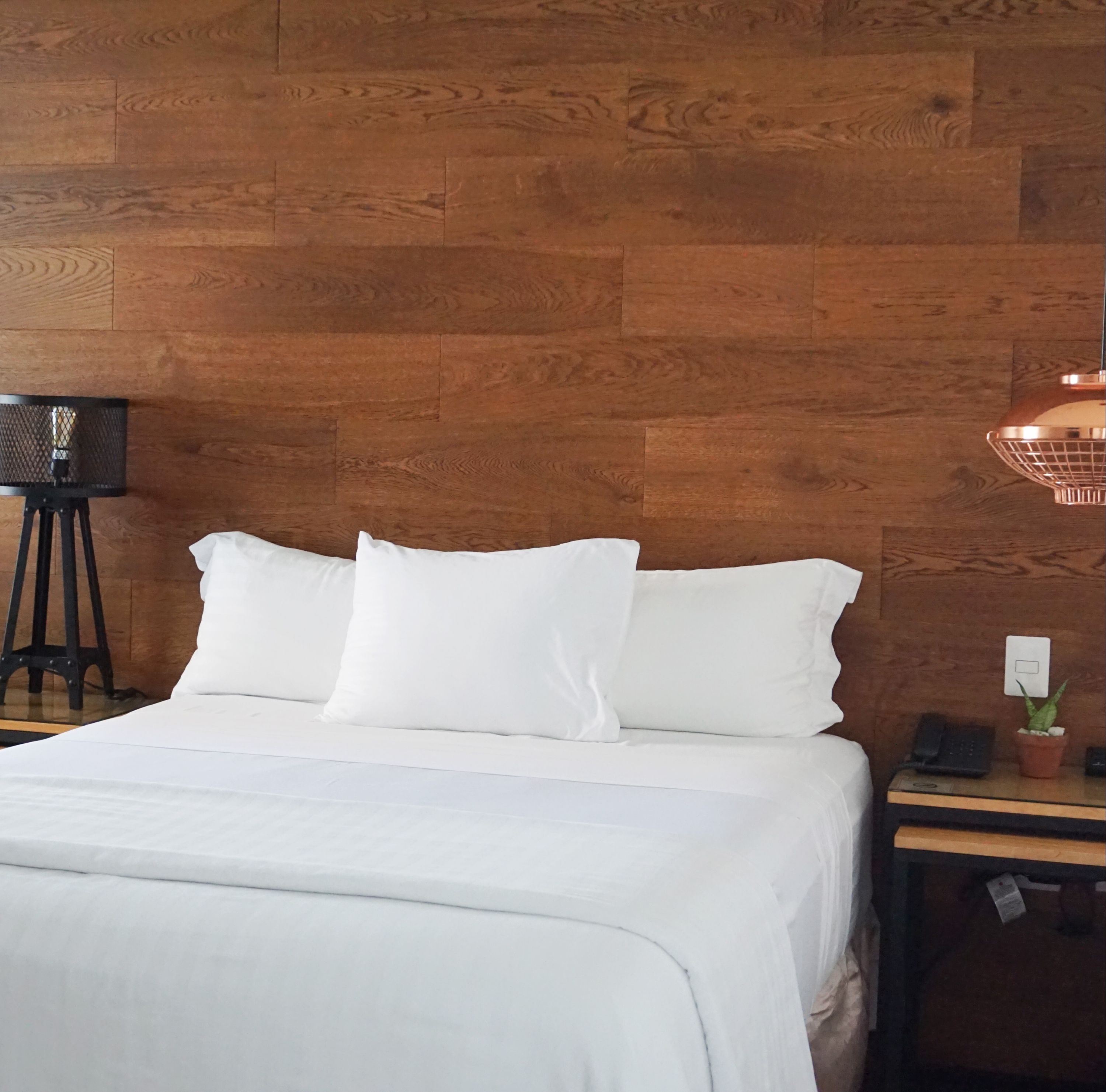 Kaleo Hotel Boutique en 57 (̶8̶3̶). San Salvador Hoteles KAYAK